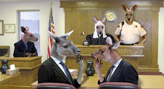 kangaroo-court-1